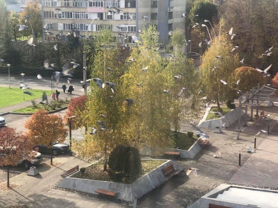 Vremea exactă în Maramureș, vineri, 4 decembrie