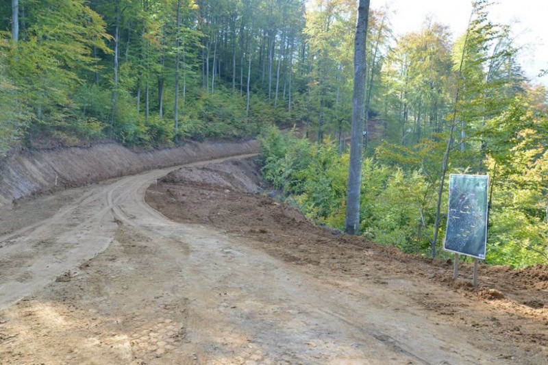 S-a răsturnat cu autoturismul pe un drum forestier din Poienile de sub Munte