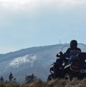 Anchetă: Se taie la greu în codrii Maramureșului! Cel mai recent caz, în Budești. Ce măsuri au luat pădurarul și jandarmii (FOTO)