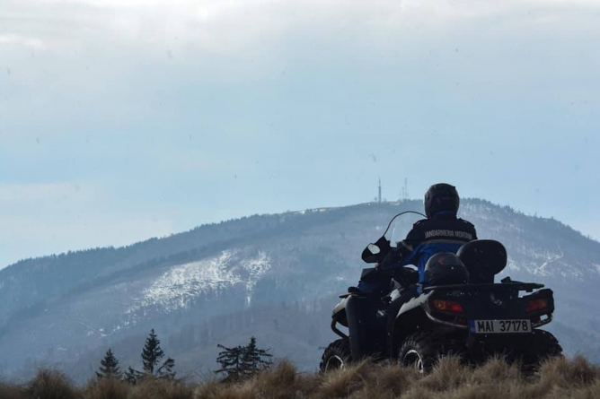 Anchetă: Se taie la greu în codrii Maramureșului! Cel mai recent caz, în Budești. Ce măsuri au luat pădurarul și jandarmii (FOTO)