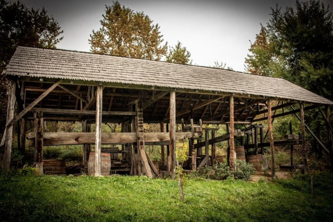 „Șitaua” și vinul de Maramureș sau cum se făcea viticultura pe vremuri (GALERIE FOTO)