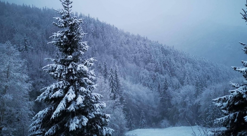 Informare meteo: Ninsori moderate cantitativ, așteptate în Maramureș timp de două zile. La munte, vânt puternic. Vezi avertismentul specialiștilor