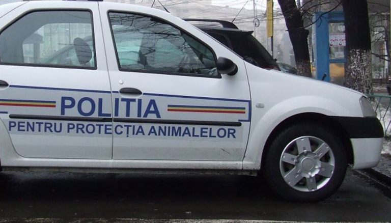 Încă un caz de cruzime: Cățel găsit împușcat în Iadăra. A fost executat cu sânge rece