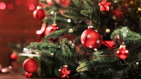 Vremea exactă în Maramureș, joi, 24 decembrie