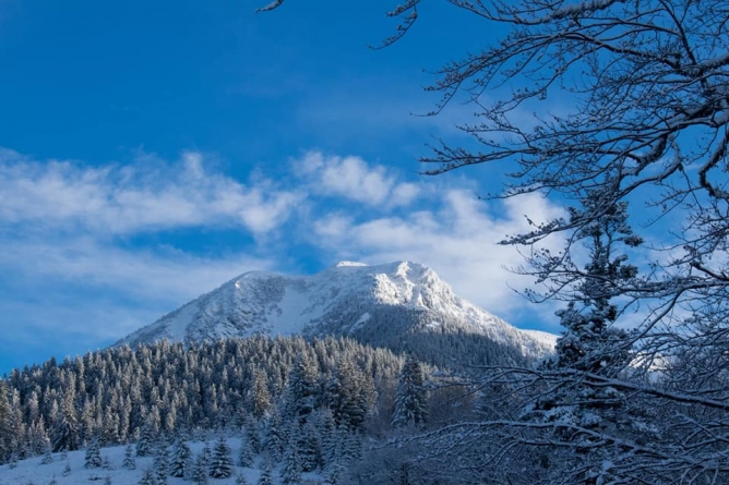 Peisaj de poveste: Munții Țibleș au îmbrăcat haina de iarnă (GALERIE FOTO)