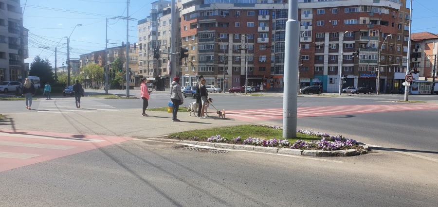 Situația actualizată în Maramureș: Se închid restaurantele în 20 UAT-uri, inclusiv Baia Mare și Sighetu Marmației. Vezi lista completă a noilor măsuri luate