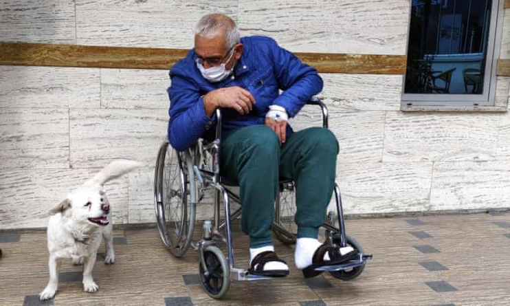 Loialitate: Un cățel și-a așteptat stăpânul zile în șir în fața spitalului unde acesta fusese internat (VIDEO ȘI FOTO)