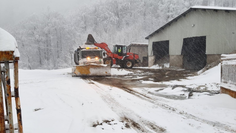 Vremea exactă în Maramureș, luni, 24 ianuarie
