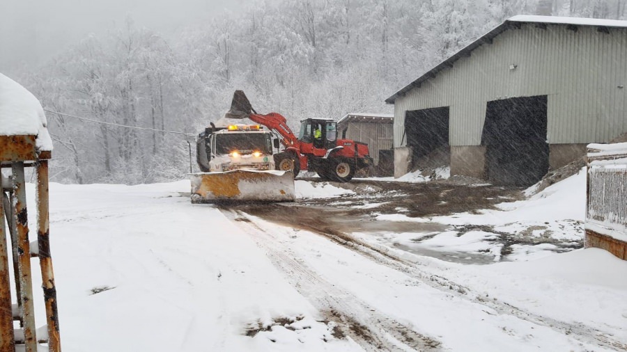 Vremea exactă în Maramureș, luni, 24 ianuarie