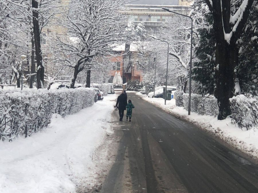 Vine iarna peste noi: Pentru tot Maramureșul atenționare meteorologică de ninsori însemnate cantitativ și intensificări de vânt. Anunț ANM!