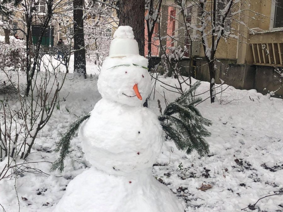 Meteo Maramureș Luna Cadourilor: În regiunea Maramureș estimările specialiștilor în acest domeniu sunt că vom avea parte de ninsori. Vezi modelările existente!