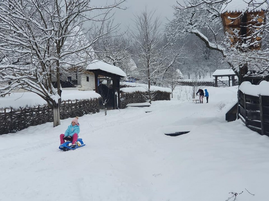 Iarna pe uliță: Copiii sunt așteptați la săniuș la Muzeul Satului din Baia Mare