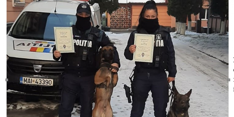 Grupa Canină din cadrul IPJ Maramureș continuă să fie la înălțime; La câte activități a participat în 2020 și ce a capturat