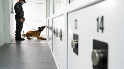 Proiect pilot: Câini special antrenați vor detecta călătorii cu COVID-19 pe Aeroportul din Sibiu. Vezi imagini cu ei (FOTO)