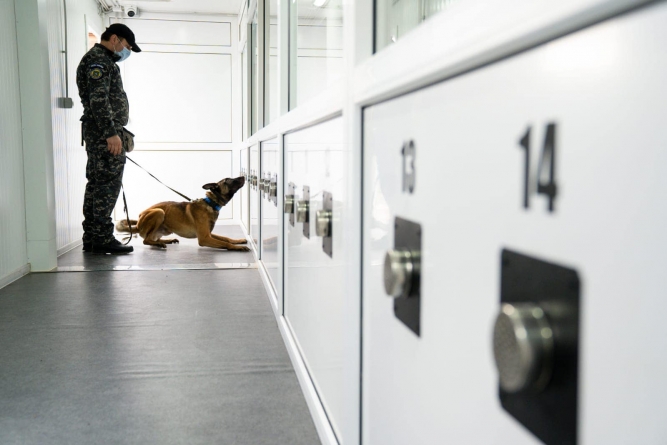 Proiect pilot: Câini special antrenați vor detecta călătorii cu COVID-19 pe Aeroportul din Sibiu. Vezi imagini cu ei (FOTO)