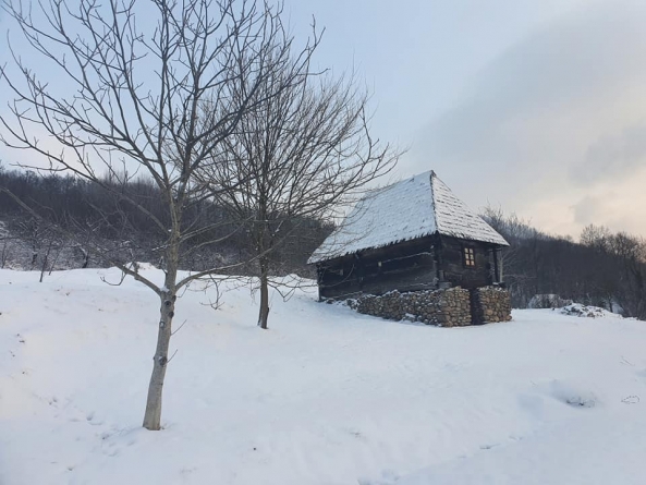 Casa Pălăguță din Muzeul Satului Baia Mare: „Tezaurul de neprețuit al acestei case îl reprezintă poveștile generațiilor care au viețuit din ea” (FOTO)