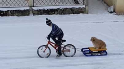 Băiețelul care își plimbă câinele cu sania a impresionat internauții; Gestul său a fost răsplătit cu o bicicletă nouă (FOTO și VIDEO)
