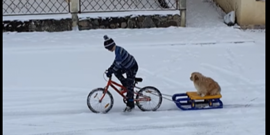 Băiețelul care își plimbă câinele cu sania a impresionat internauții; Gestul său a fost răsplătit cu o bicicletă nouă (FOTO și VIDEO)