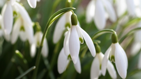 Vremea exactă în Maramureș, vineri, 3 martie