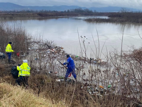 Groaznic: Râurile din Maramureș, poluate cu gunoaie menajere. Acțiune amplă de colectare pe Lăpuș, aproape de confluența cu Someșul (VIDEO ȘI FOTO)