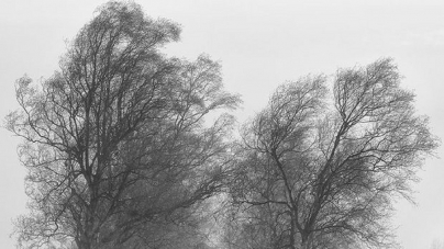 Cod galben de vânt; Se anunță și ninsori moderate cantitativ și viscol în zona de munte