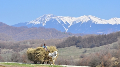 De la sate adunate: Toponime din Țara Lăpușului