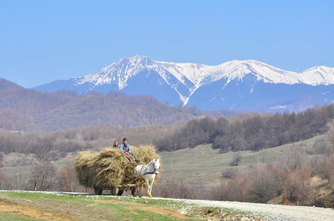 De la sate adunate: Toponime din Țara Lăpușului