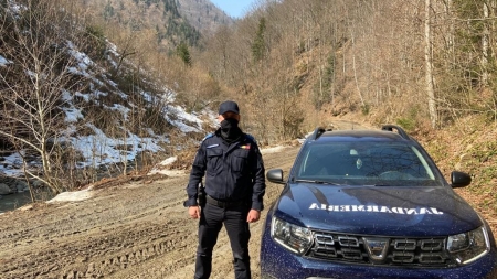 „171 de stejari pentru România”: Jandarmii maramureșeni vor planta puieți de stejar într-o zonă forestieră din Băița