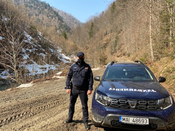 „171 de stejari pentru România”: Jandarmii maramureșeni vor planta puieți de stejar într-o zonă forestieră din Băița