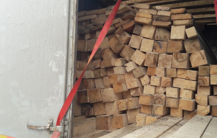 În Maramureș: Prima infracțiune de transport de materiale lemnoase în volum de peste 10 mc fără documente legale de proveniență