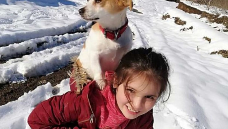 O fetiță de 9 ani și-a cărat câinele în spate doi kilometri, prin zăpadă, pentru a ajunge la veterinar