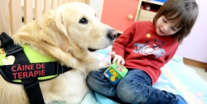 Veste bună: În Recea se va construi un centru nou de terapii alternative pentru copiii cu dizabilități. Va avea inclusiv o arenă pentru terapia cu animale