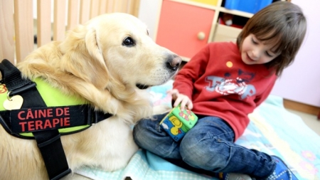 Veste bună: În Recea se va construi un centru nou de terapii alternative pentru copiii cu dizabilități. Va avea inclusiv o arenă pentru terapia cu animale