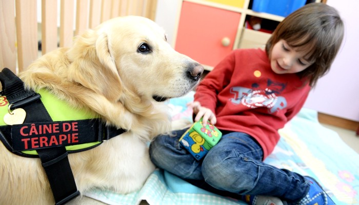 Veste bună: În Recea se va construi un centru nou de terapii alternative pentru copiii cu dizabilități. Va avea inclusiv o arenă pentru terapia cu animale