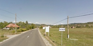 Anunț: Acțiuni de împădurire și ecologizare în comuna Cernești. Oricine poate participa