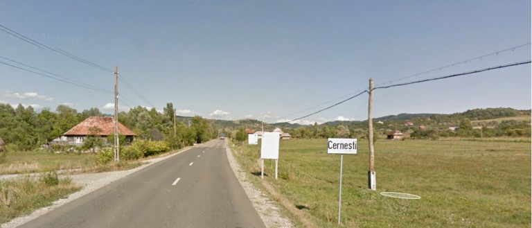 Anunț: Acțiuni de împădurire și ecologizare în comuna Cernești. Oricine poate participa