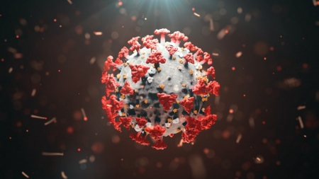 Proiectul de raport al OMS: Noul coronavirus, SARS-CoV2, provine, cel mai probabil, de la animalele sălbatice, nu dintr-un laborator