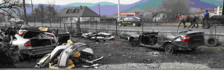 Garda de Mediu Maramureș: Parc ilegal de dezmembrări auto pe o stradă din Sighetu Marmației. Ce au decis comisarii (FOTO)
