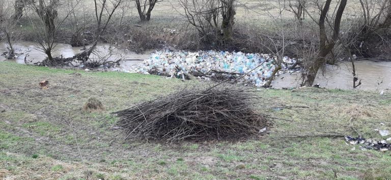 Lipsă de respect: „Pod de pet-uri” în zona Muzeului Satului din Sighetu Marmației. Reacția Gărzii de Mediu Maramureș (FOTO)