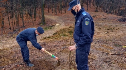 Exemplu de urmat: Jandarmii maramureșeni au plantat 171 de stejari (FOTO)