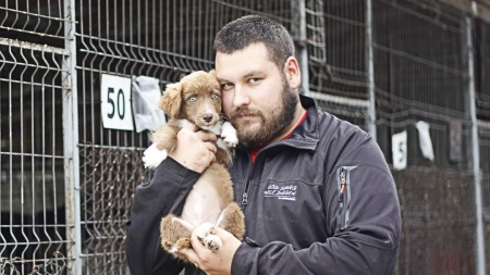 Exclusiv: Împreună pentru necuvântătoare: Paul Oșan, băimăreanul care și-a propus salvarea tuturor animalelor și schimbarea viziunilor. Să-l ajutăm! (FOTO)