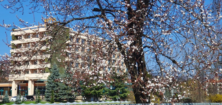 Vremea exactă în Maramureș, joi, 12 mai