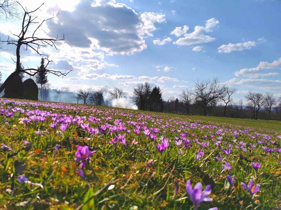 Meteo Maramureș: Vreme caldă în 13 aprilie, apoi o răcire scurtă, urmată de revenirea la normalul termic al acestei perioade. Vezi estimările pe două săptămâni