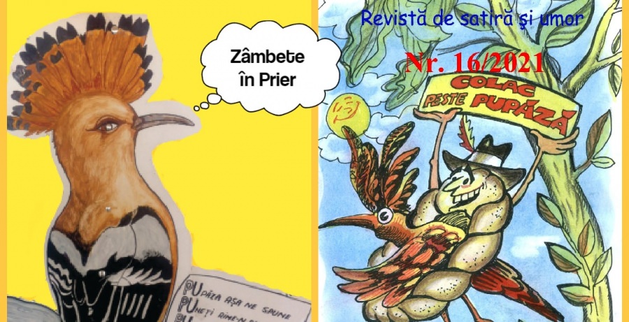 Festivalul Național de Satiră și Umor „Zâmbete în Prier” de la Vișeu de Sus și-a desemnat câștigătorii (FOTO)