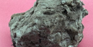 Frumusețile Maramureșului: Un eșantion din jamesonit, provenit din Mina Herja, exponatul săptămânii la Muzeul de Mineralogie din Baia Mare (FOTO)