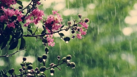 Anunț făcut de specialiști: În tot Maramureșul atenționarea meteorologică de ploi este valabilă aproape până dimineață! Iată informarea în vigoare!