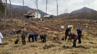 Mobilizare în Pasul Gutâi: Acțiune de împădurire în Baia-Sprie, în zona calamitată în urma furtunii din 2017. S-au plantat puieți de molid și paltin (FOTO)