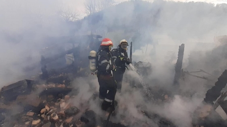 A ars cantonul silvicilor dintr-un oraș maramureșean!