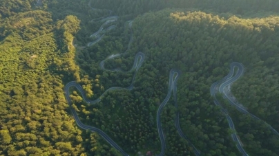 Inițiativă: Rezoluție comună internațională pentru elaboarea unei strategii care să vizeze regiunea Carpaților