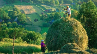 Vremea exactă în Maramureș, joi, 29 iulie